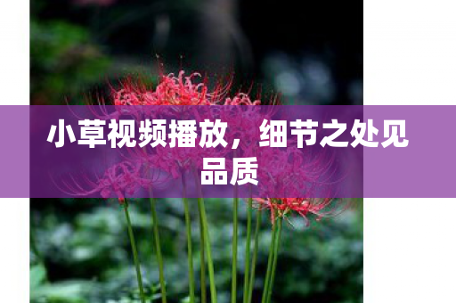 细节之处见品质图片