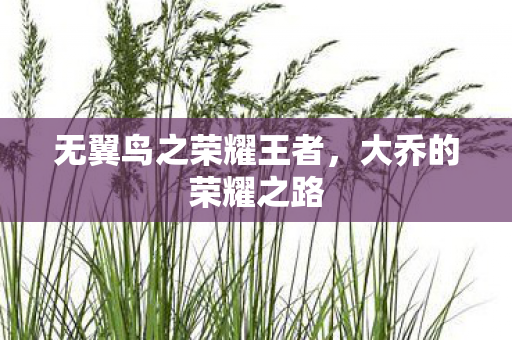 无翼鸟之荣耀王者图片