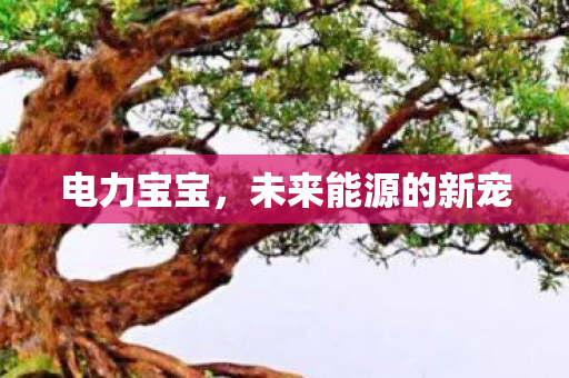 未来能源的新宠图片