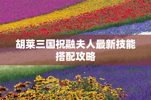 胡莱三国祝融夫人最新技能搭配攻略图片