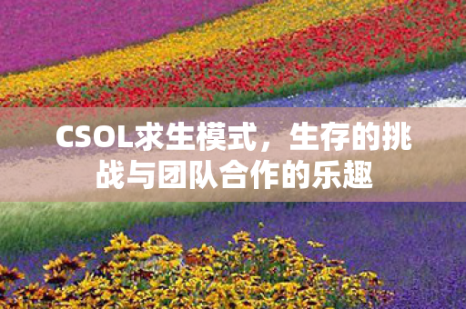 生存的挑战与团队合作的乐趣图片