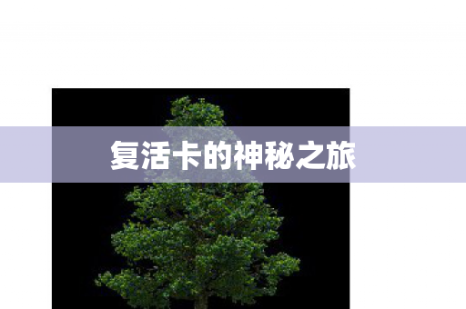 复活卡的神秘之旅图片