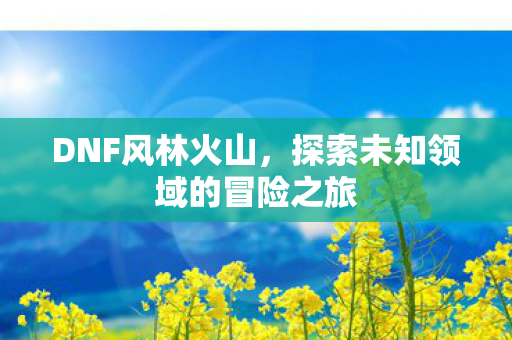 探索未知领域的冒险之旅图片