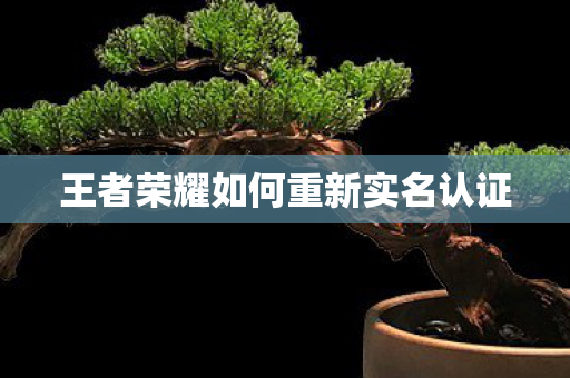 王者荣耀如何重新实名认证图片