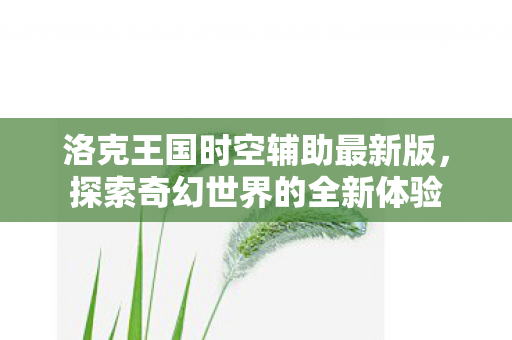 洛克王国时空辅助最新版图片