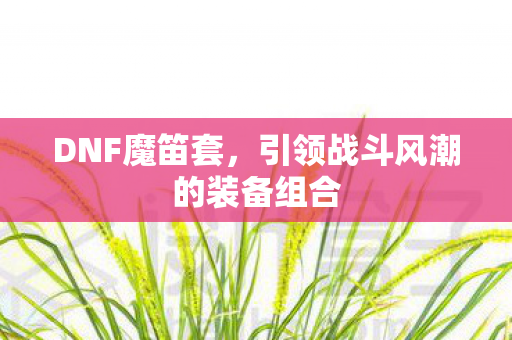 引领战斗风潮的装备组合图片