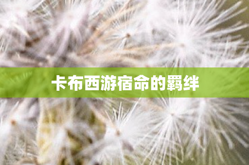卡布西游宿命的羁绊图片