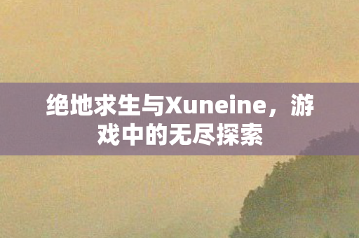 绝地求生与Xuneine图片