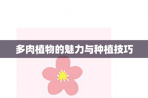 多肉植物的魅力与种植技巧图片