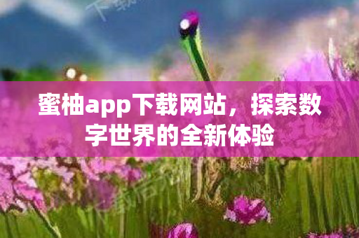 探索数字世界的全新体验图片