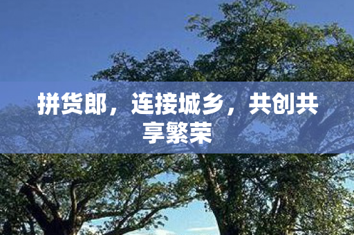 共创共享繁荣图片