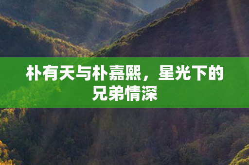 星光下的兄弟情深图片