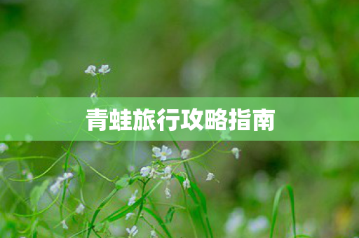 青蛙旅行攻略指南图片