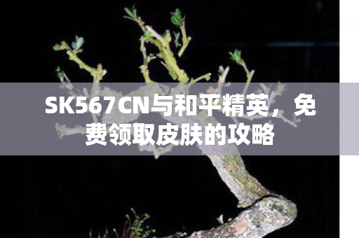 SK567CN与和平精英图片