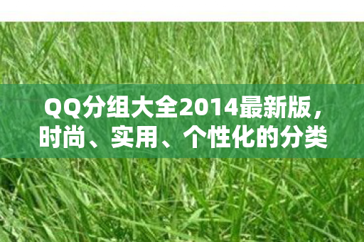 QQ分组大全2014最新版图片