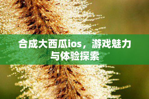 游戏魅力与体验探索图片