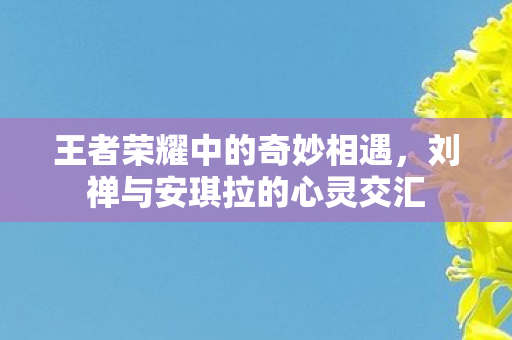 刘禅与安琪拉的心灵交汇图片