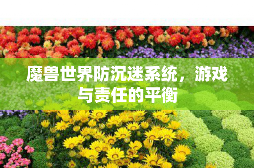 魔兽世界防沉迷系统图片