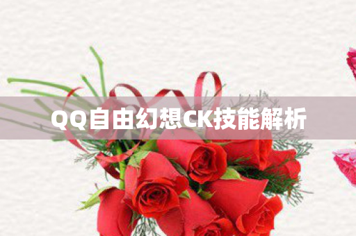 QQ自由幻想CK技能解析图片