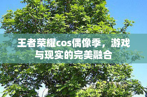 王者荣耀cos偶像季图片