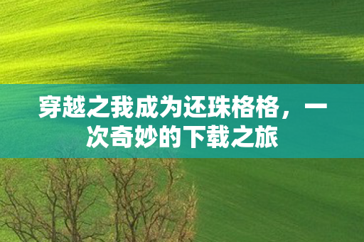 穿越之我成为还珠格格图片