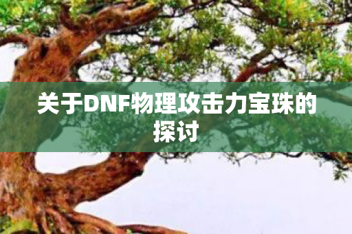 关于DNF物理攻击力宝珠的探讨图片