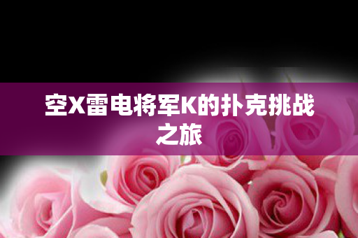 空X雷电将军K的扑克挑战之旅图片