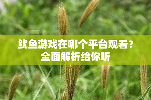 鱿鱼游戏在哪个平台观看图片