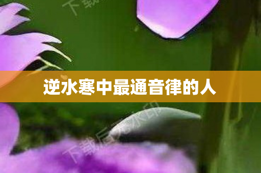 逆水寒中最通音律的人图片