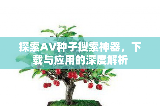 探索AV种子搜索神器图片