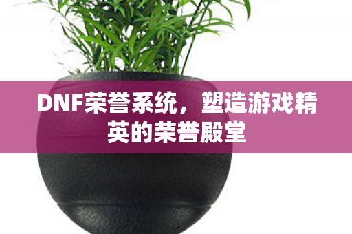 塑造游戏精英的荣誉殿堂图片
