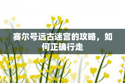 赛尔号远古迷宫的攻略图片