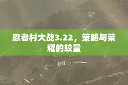 策略与荣耀的较量图片