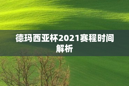 德玛西亚杯2021赛程时间解析图片