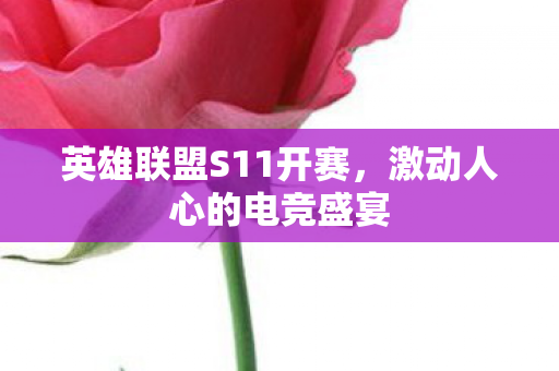 英雄联盟S11开赛图片