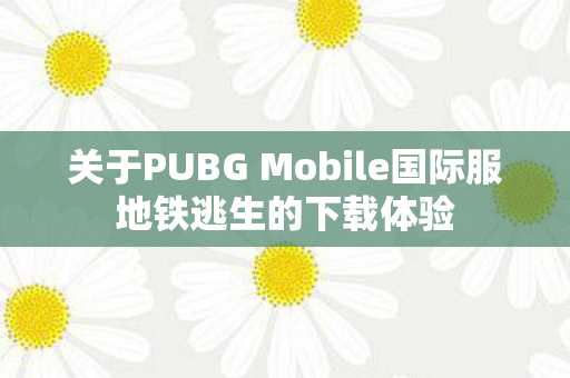 关于PUBG Mobile国际服地铁逃生的下载体验图片