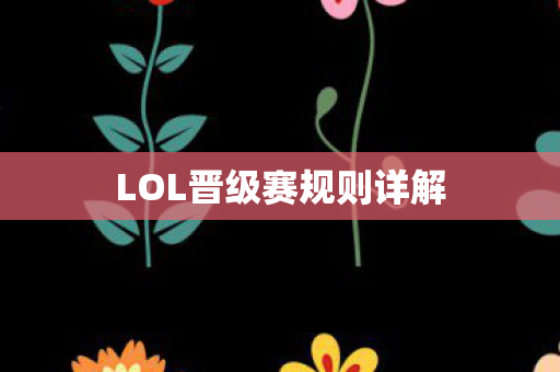 LOL晋级赛规则详解图片