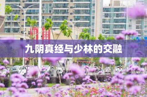 九阴真经与少林的交融图片
