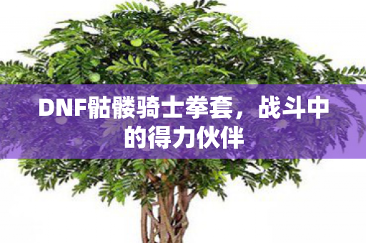 DNF骷髅骑士拳套图片