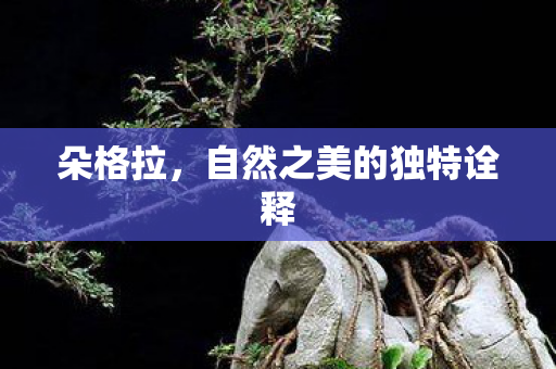 自然之美的独特诠释图片