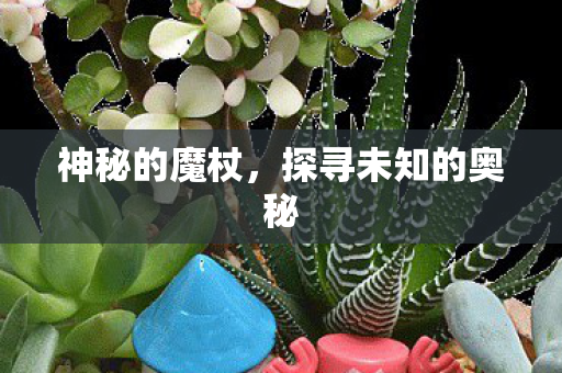 探寻未知的奥秘图片