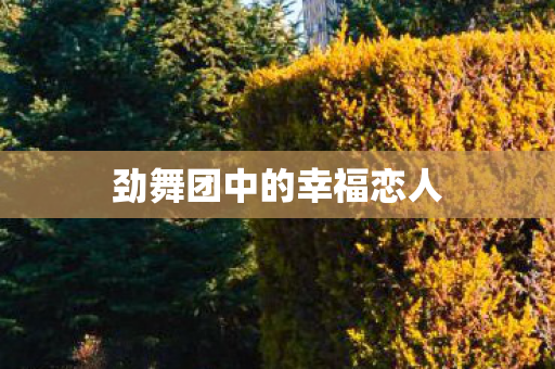 劲舞团中的幸福恋人图片