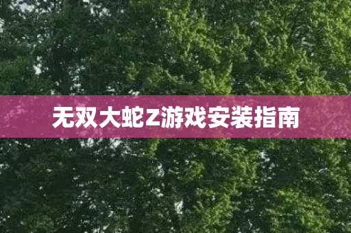 无双大蛇Z游戏安装指南图片