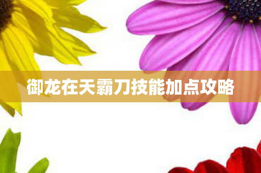 御龙在天霸刀技能加点攻略图片