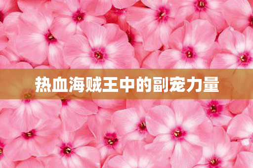 热血海贼王中的副宠力量图片
