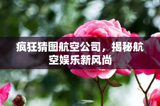 揭秘航空娱乐新风尚图片