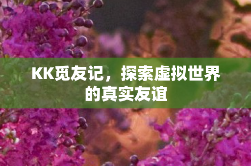 探索虚拟世界的真实友谊图片
