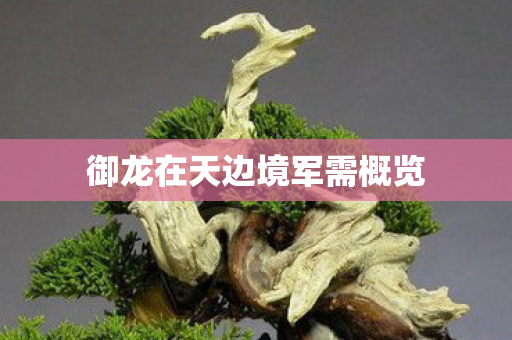 御龙在天边境军需概览图片