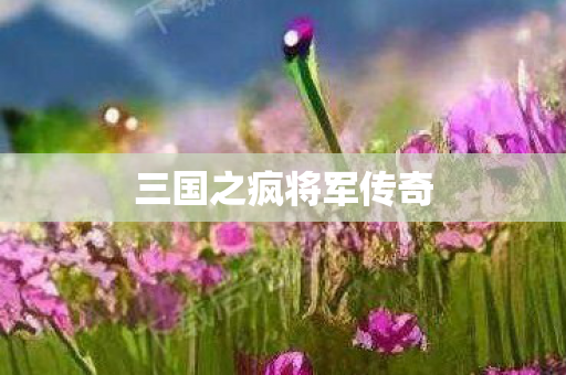 三国之疯将军传奇图片