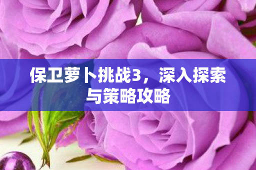 深入探索与策略攻略图片